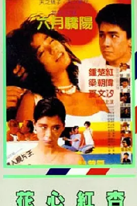 2024热门电影