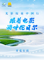 csgo暴躁阿姨高清国语