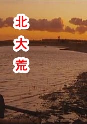 男女在线视频
