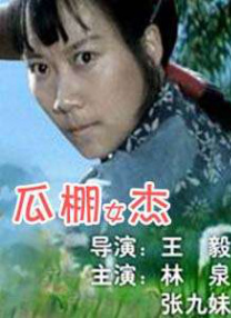 国产精品视频久久久久久