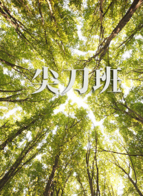 色即是空