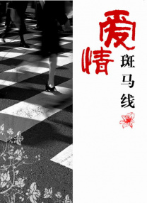 亚洲肥女