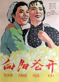 小姨The