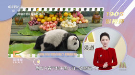 国产精品青青